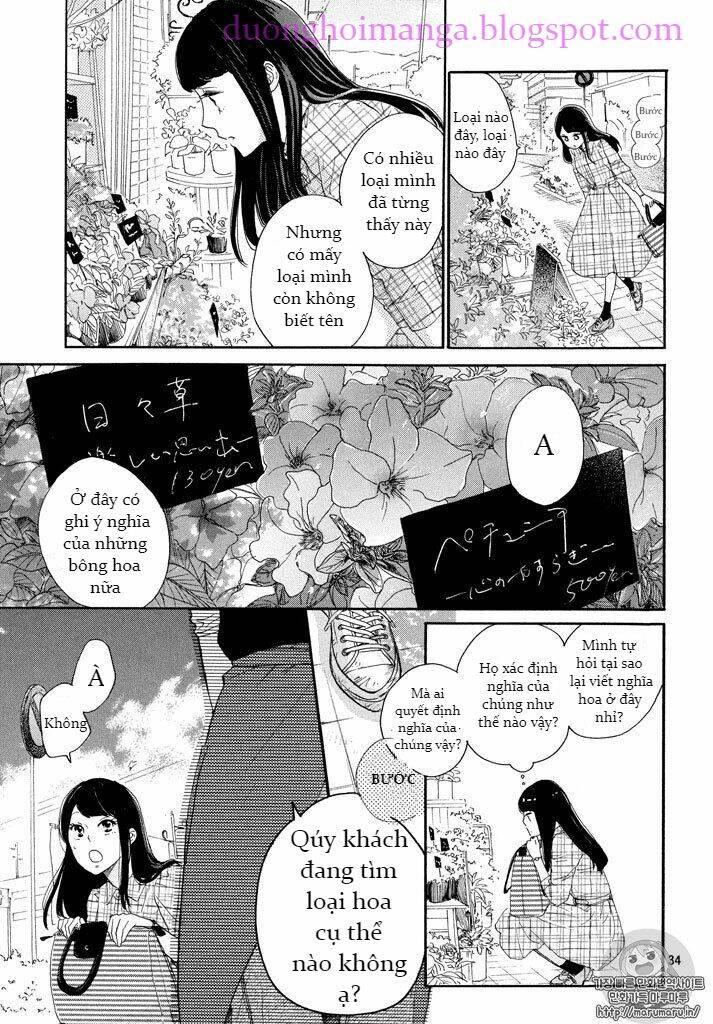 page_35.jpg