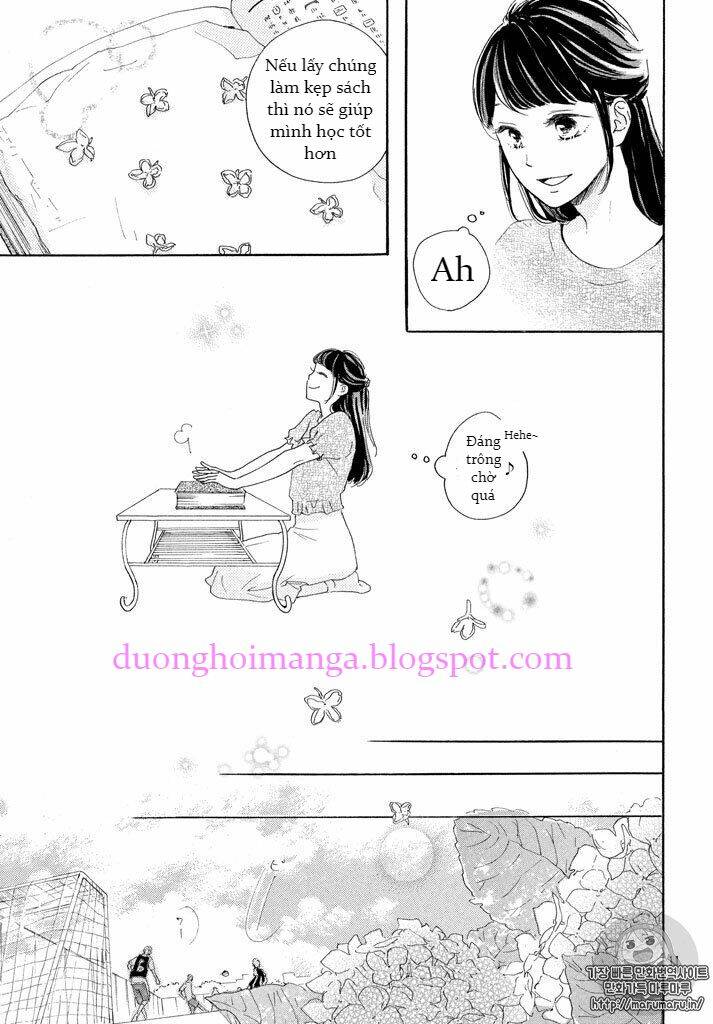 page_13.jpg