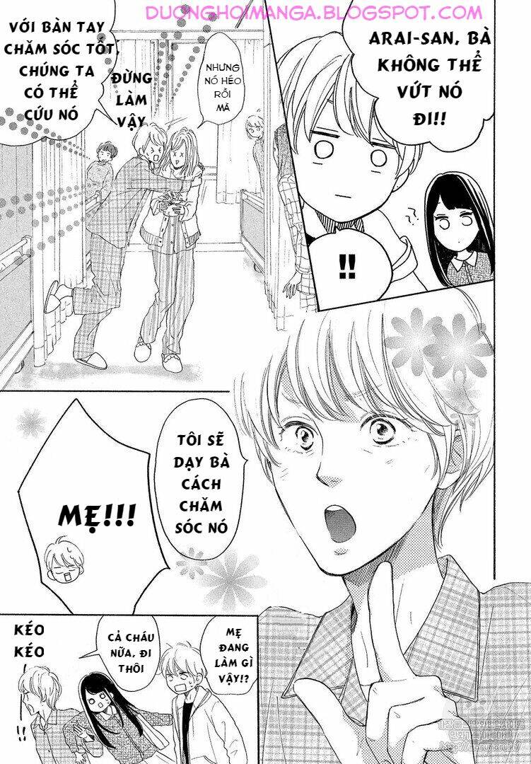 page_17.jpg