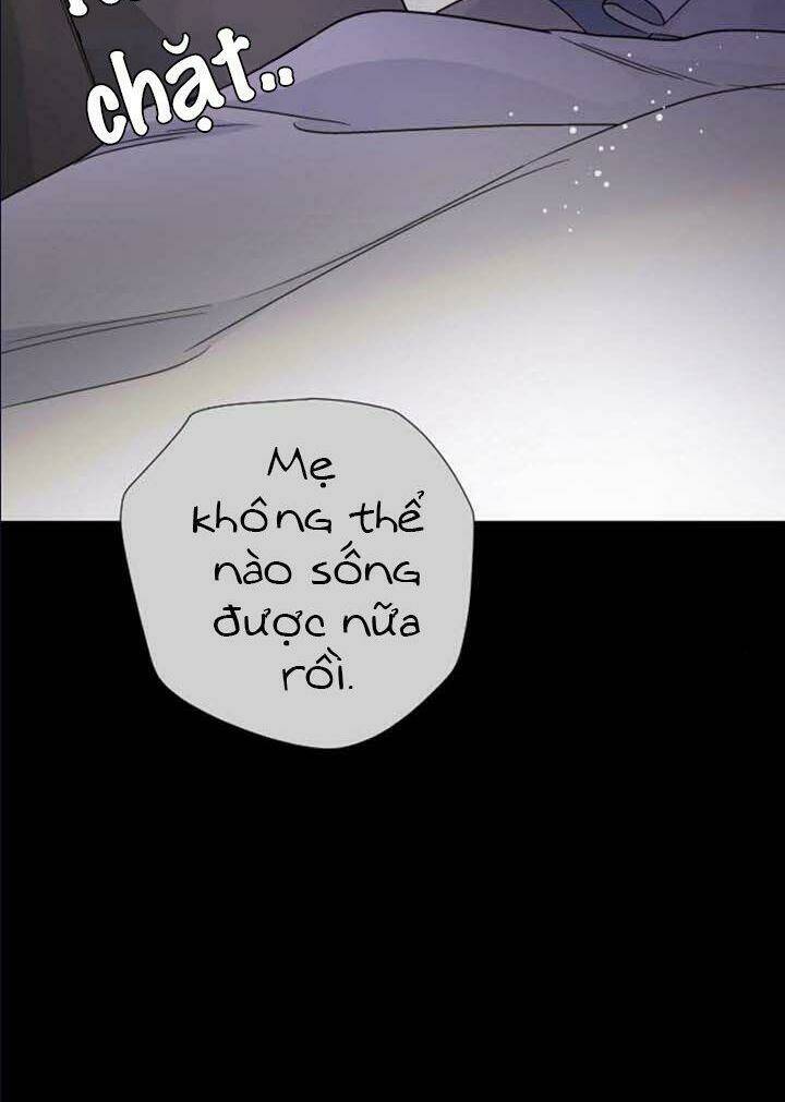 page_29.jpg