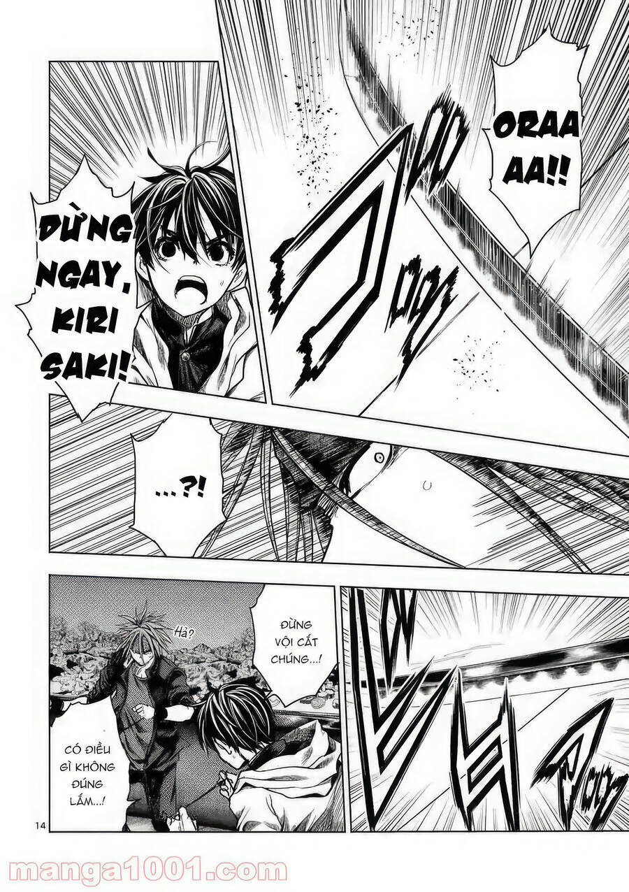 page_15.jpg