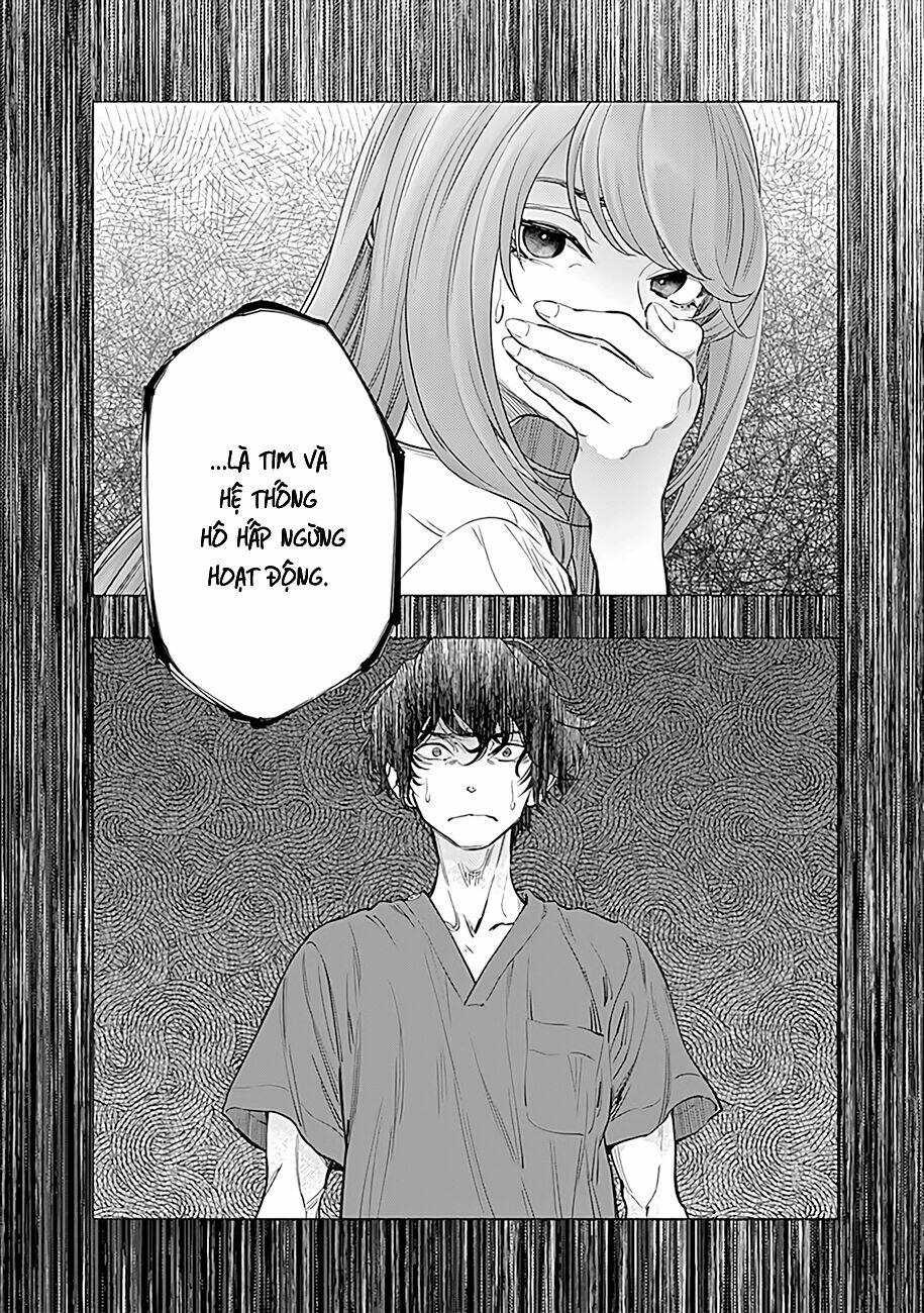 page_21.jpg