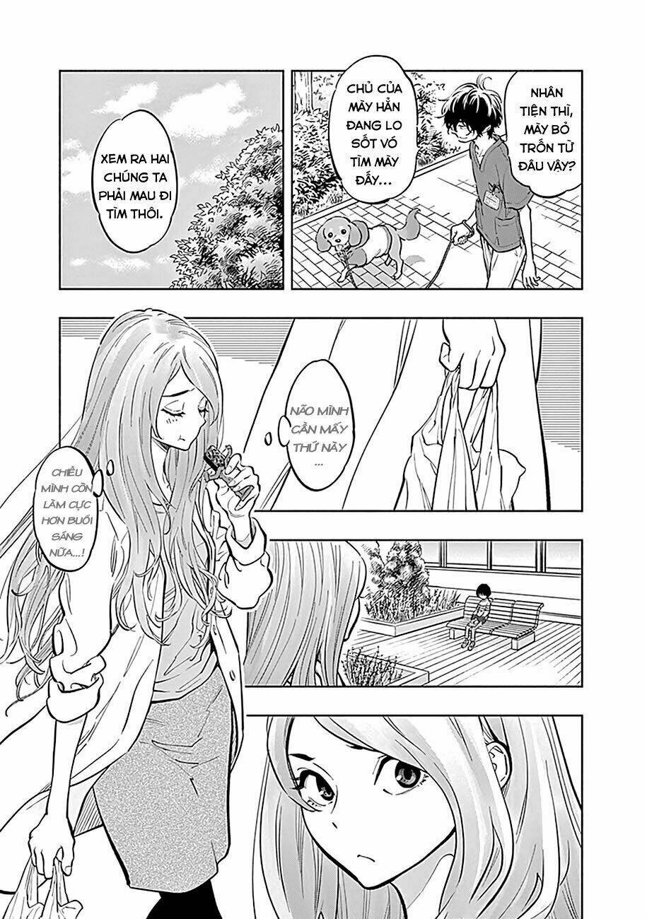 page_12.jpg