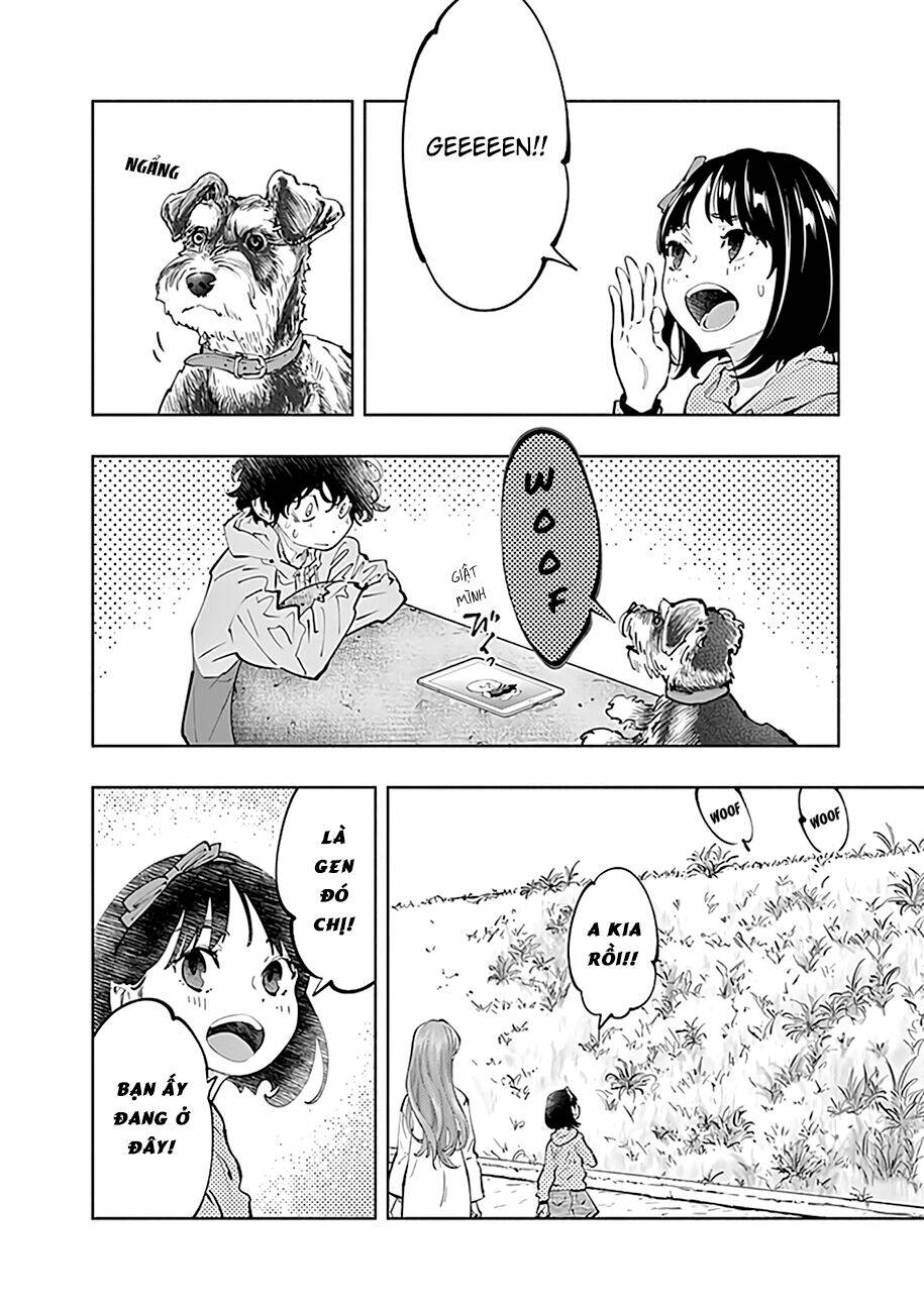 page_13.jpg