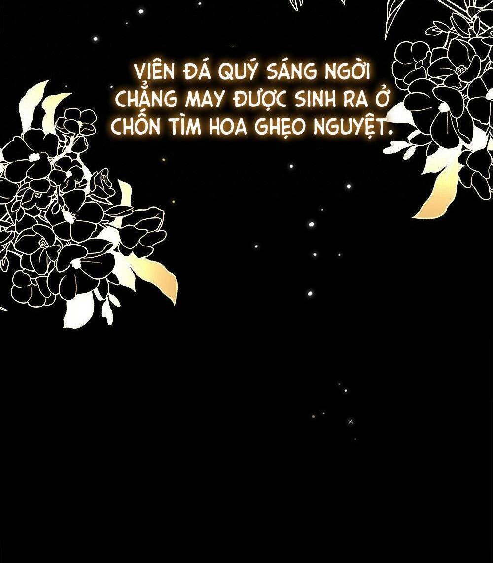 page_29.jpg