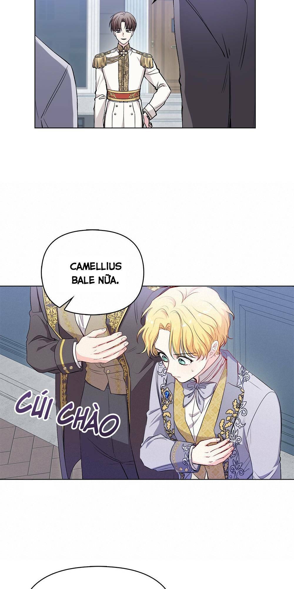 page_46.jpg