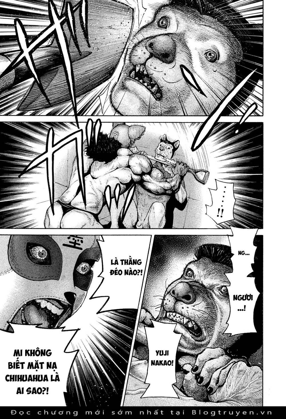 page_16.jpg