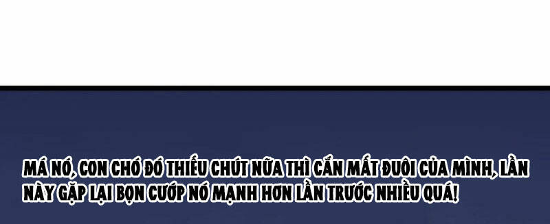 page_49.jpg