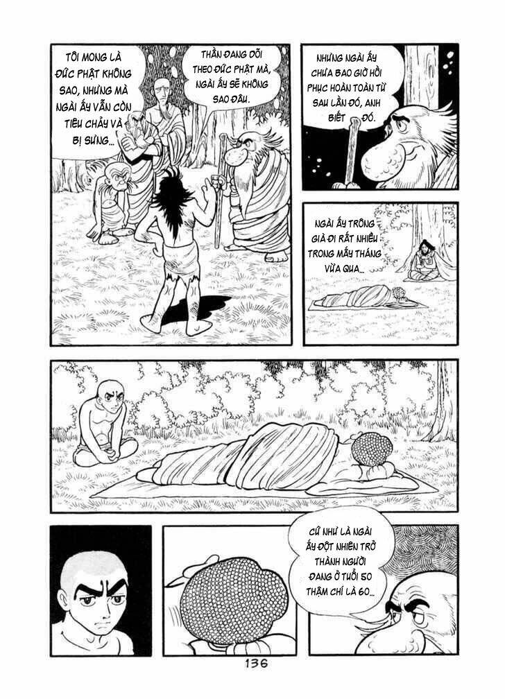 page_7.jpg