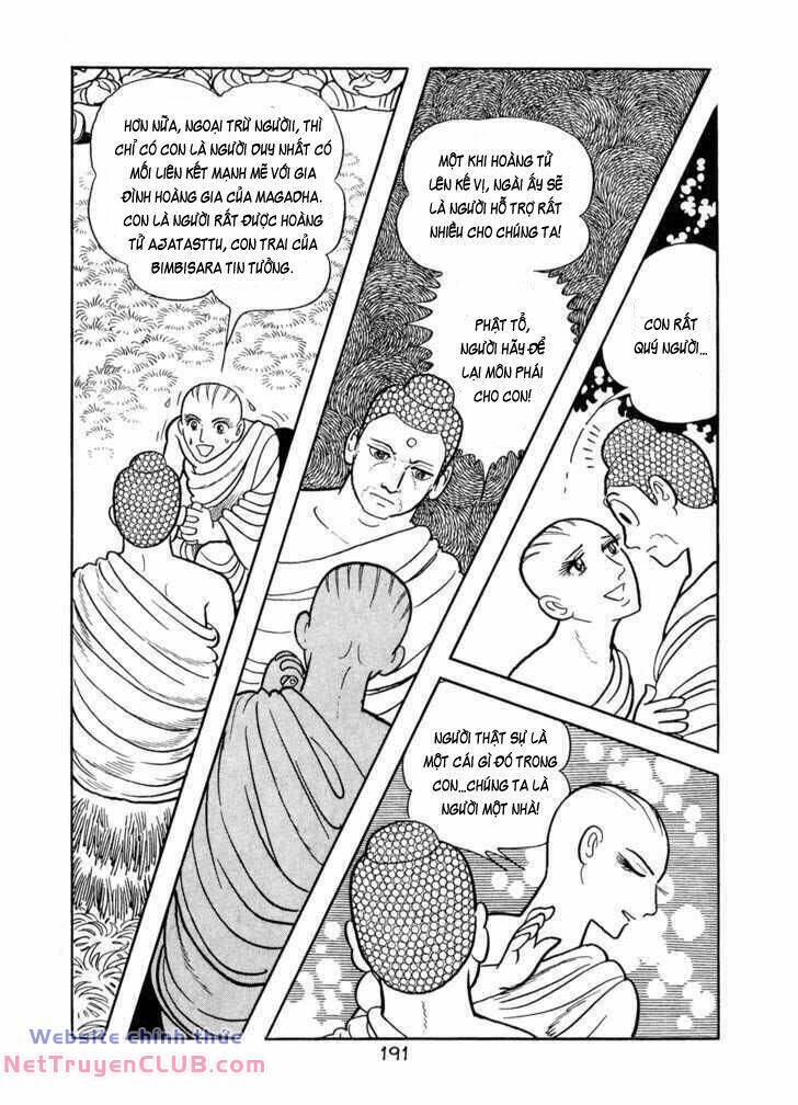 page_11.jpg