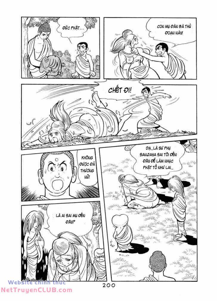 page_20.jpg
