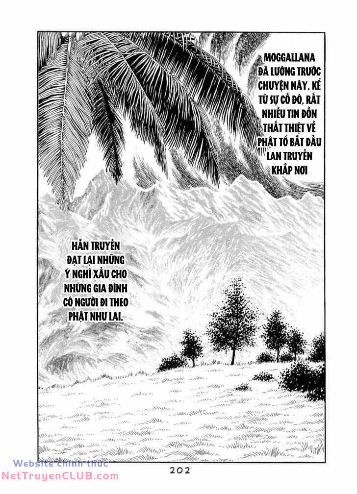 page_22.jpg