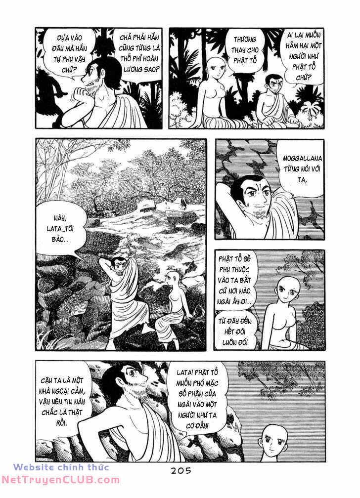 page_25.jpg