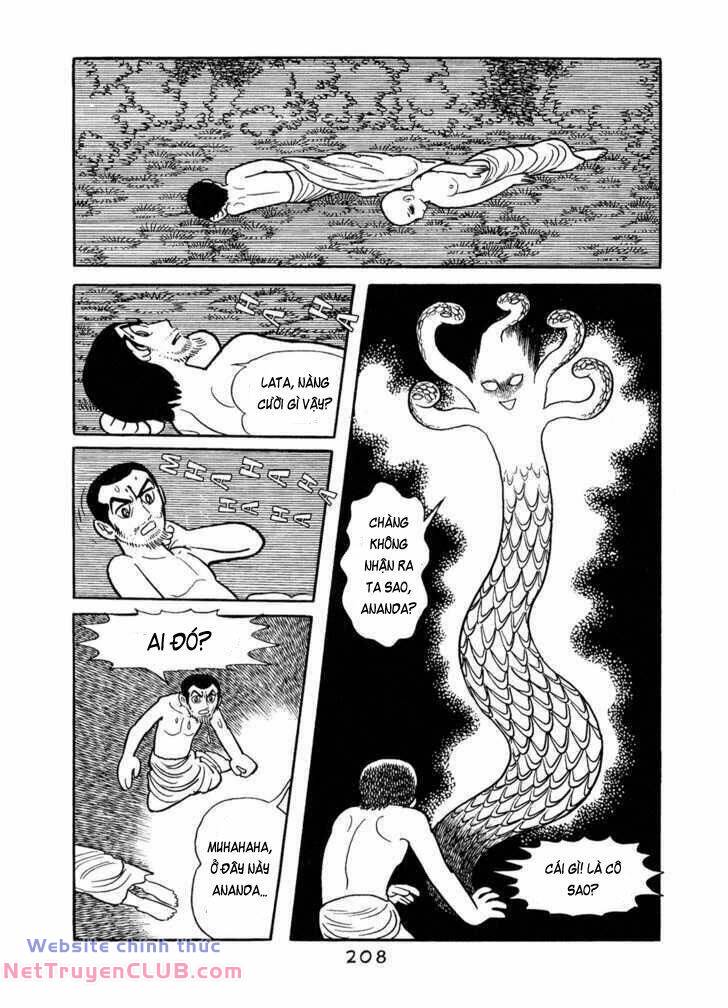 page_28.jpg