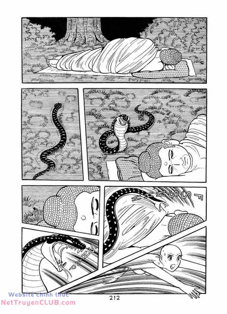 page_31.jpg
