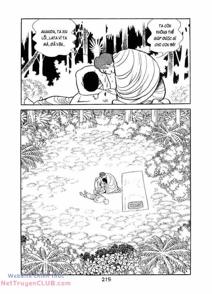 page_34.jpg