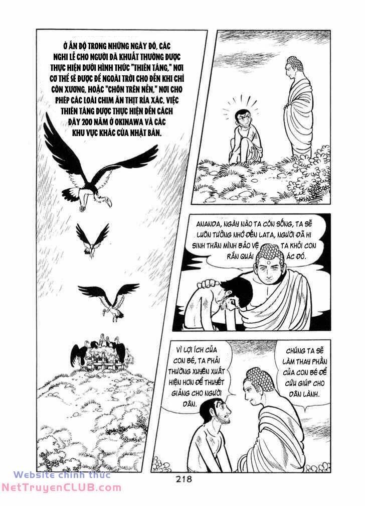 page_37.jpg