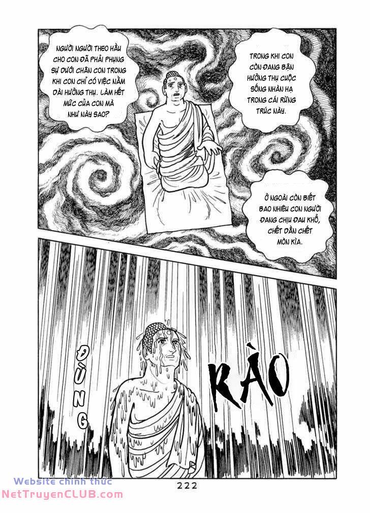 page_41.jpg
