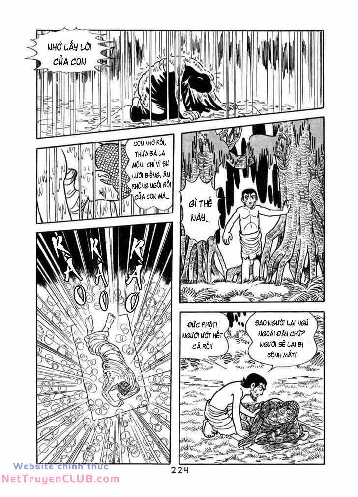 page_43.jpg