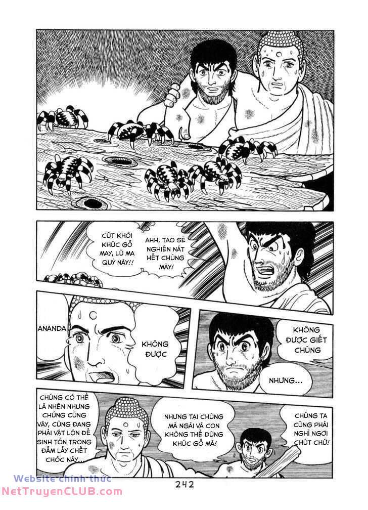 page_20.jpg