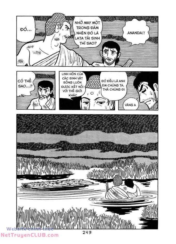 page_21.jpg