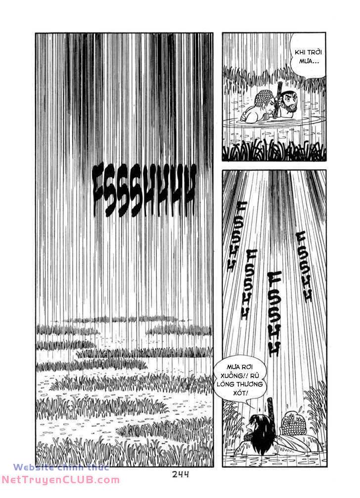 page_22.jpg