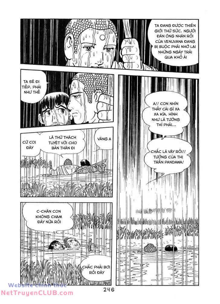 page_24.jpg