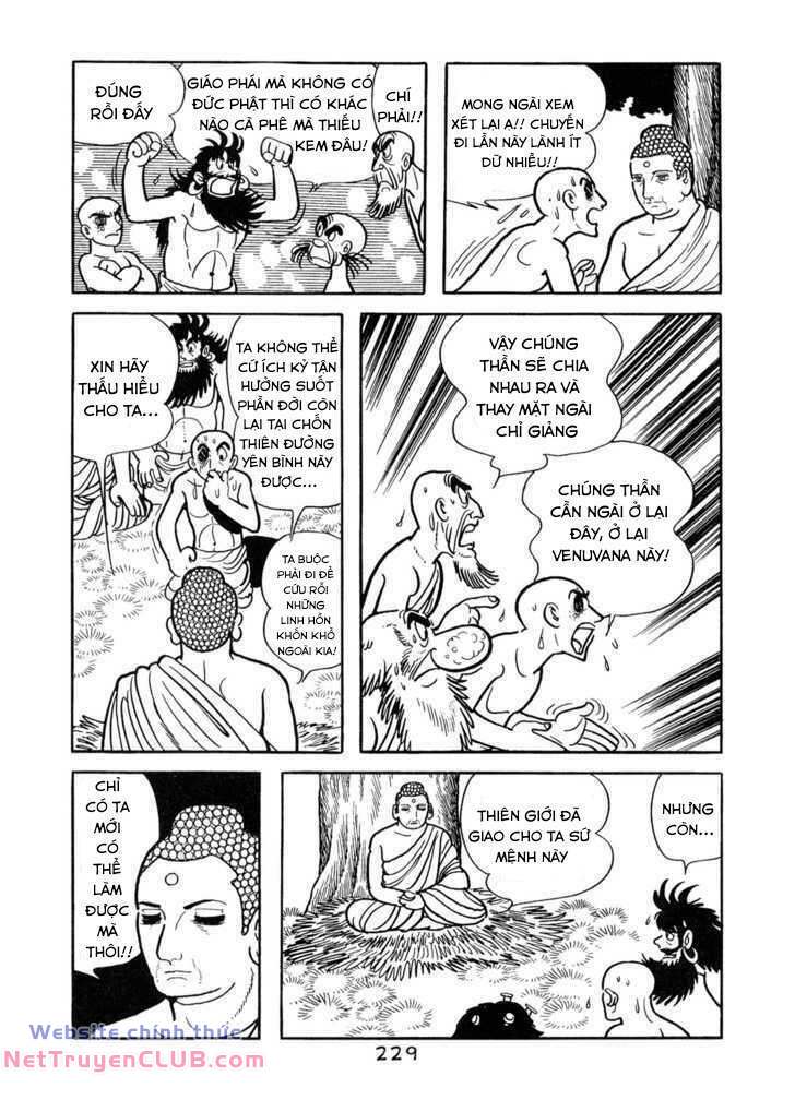 page_7.jpg
