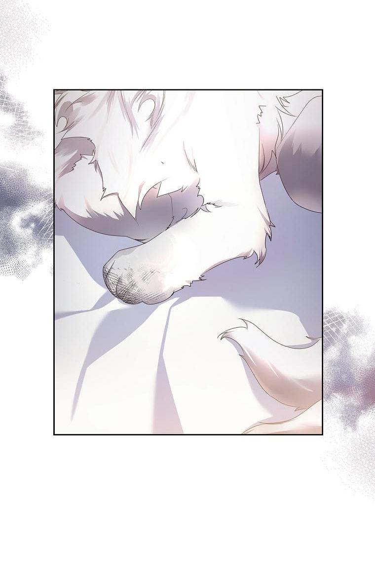 page_26.jpg