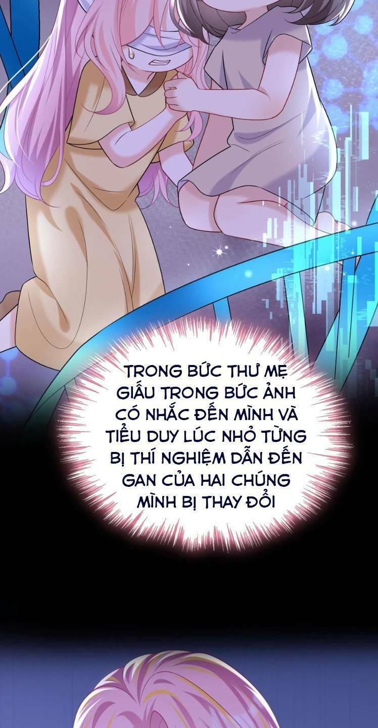 page_29.jpg