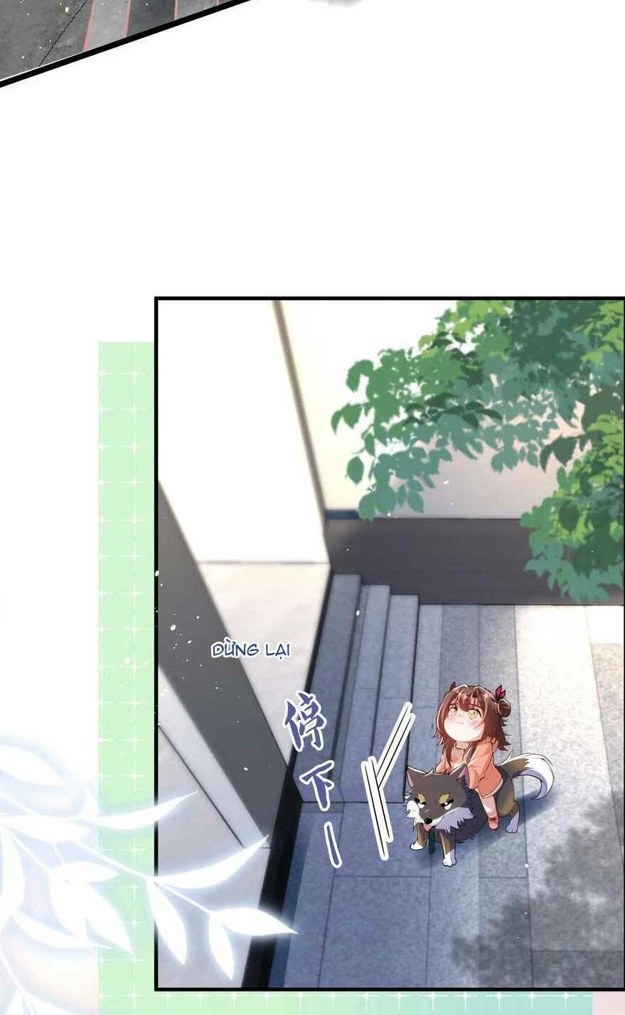 page_21.jpg