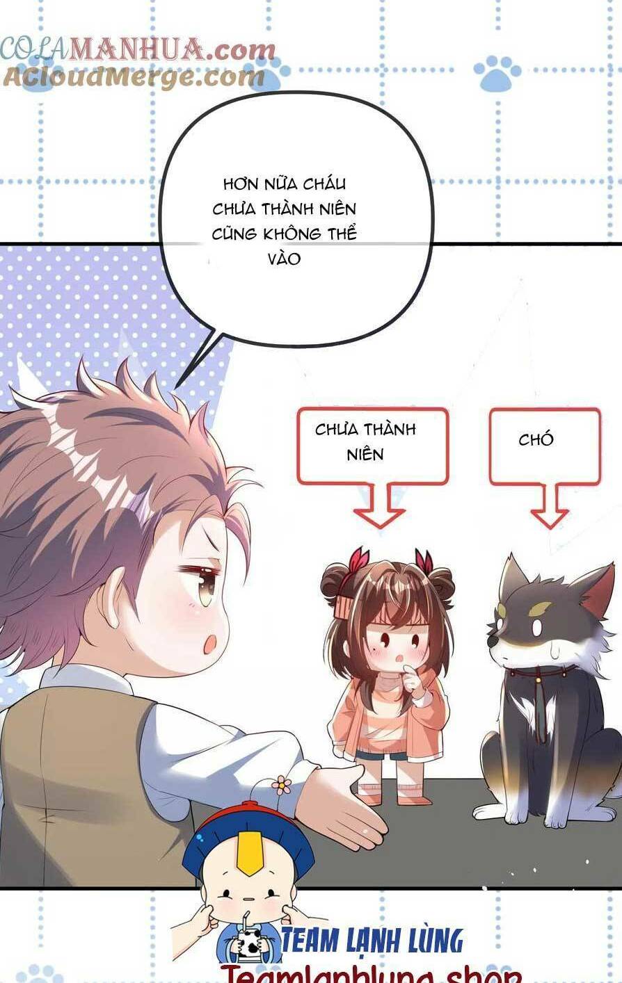 page_25.jpg