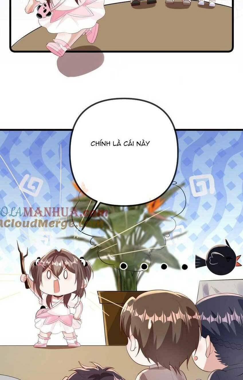 page_27.jpg