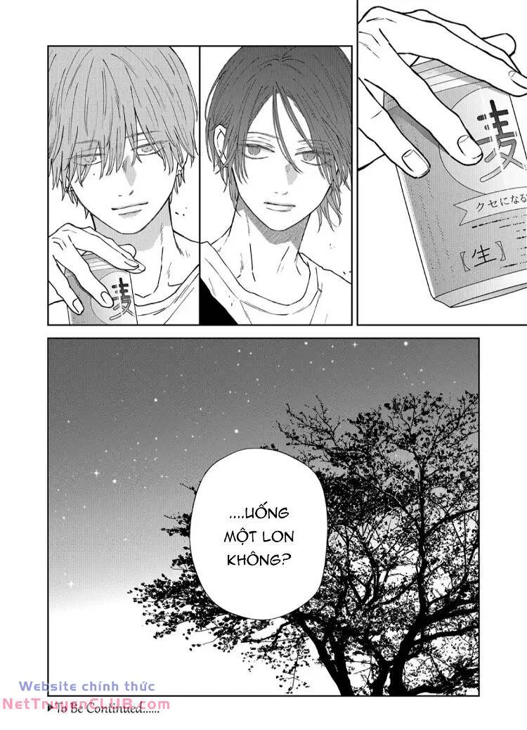 page_14.jpg
