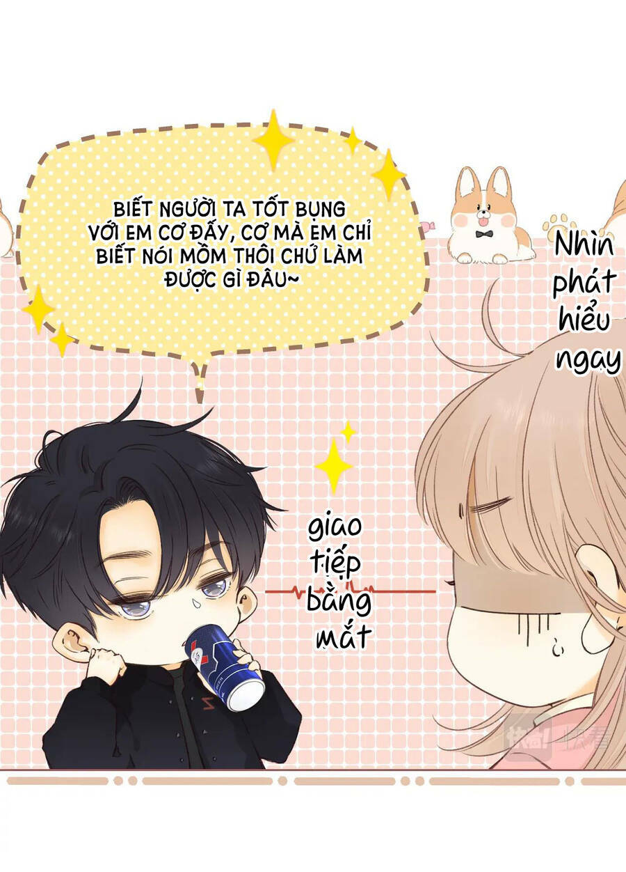 page_20.jpg