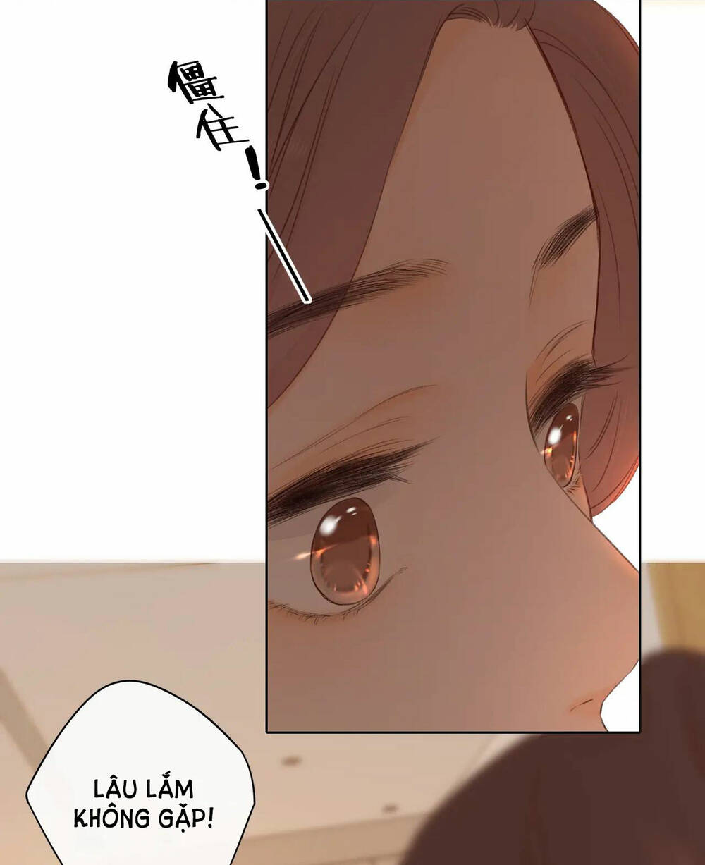 page_21.jpg