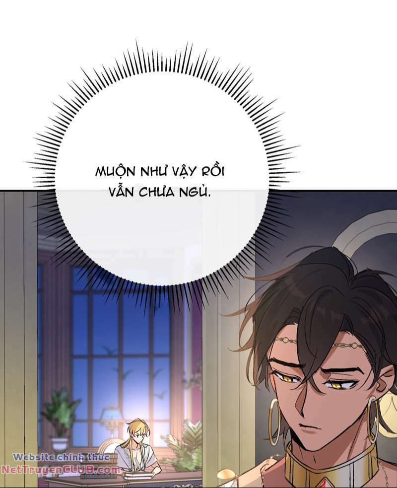 page_41.jpg