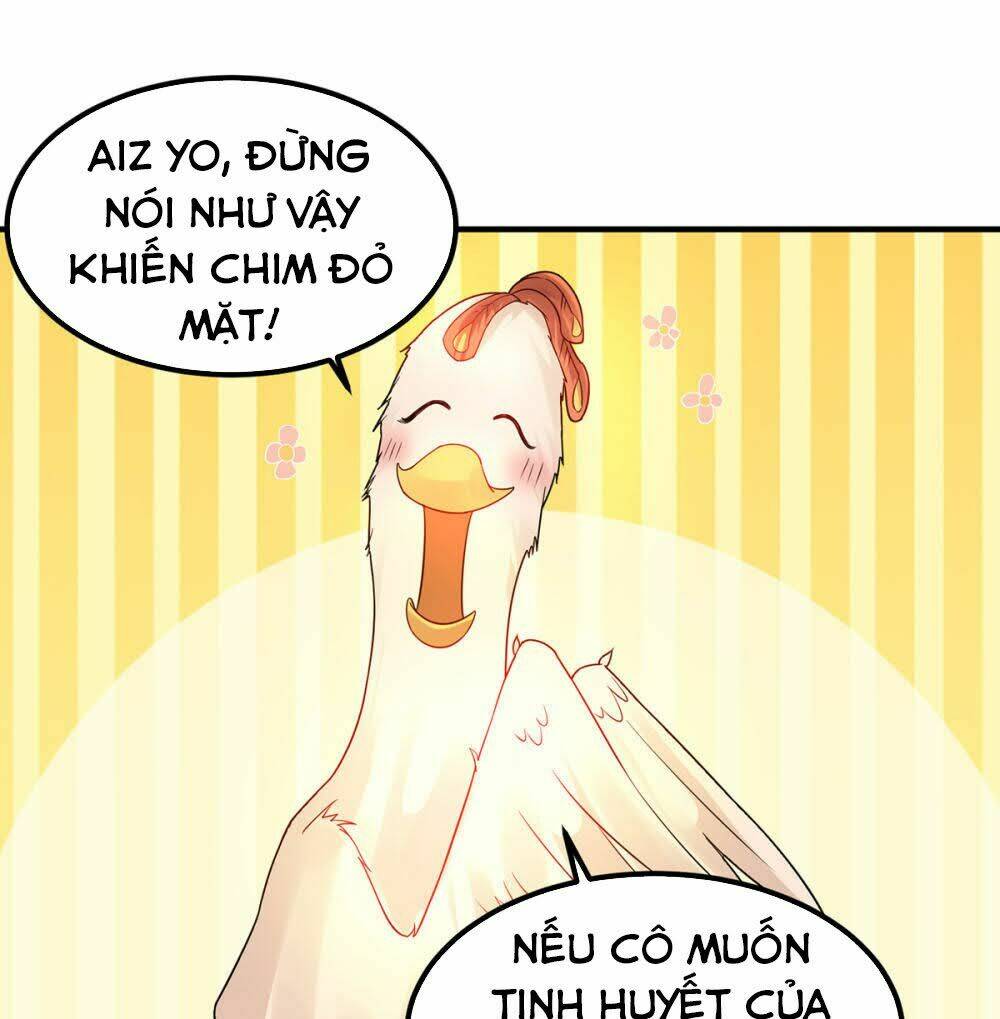 page_17.jpg