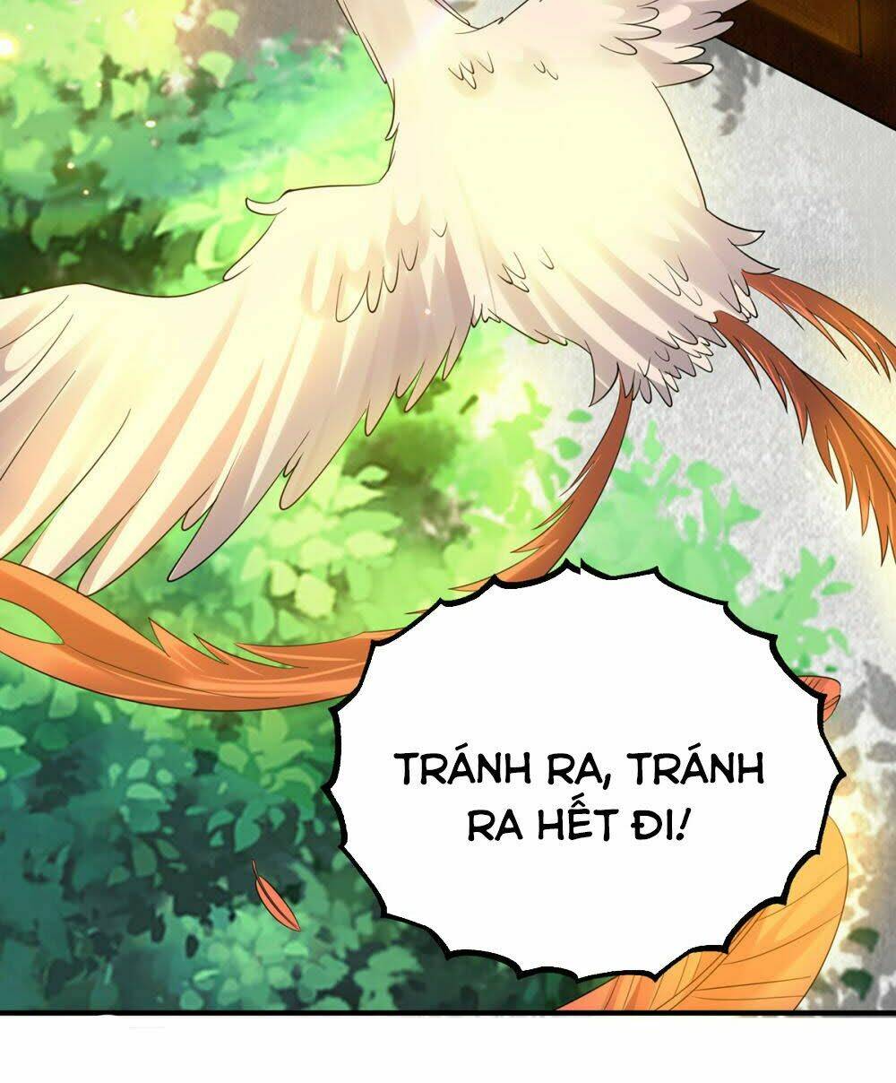 page_8.jpg