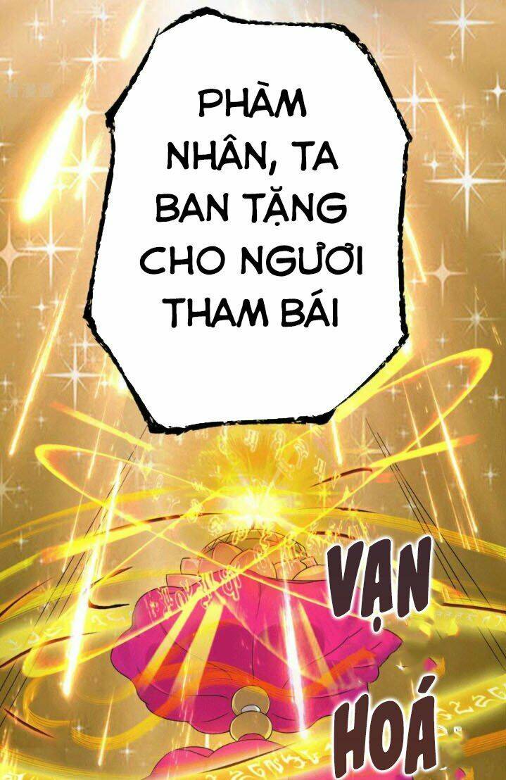 page_29.jpg