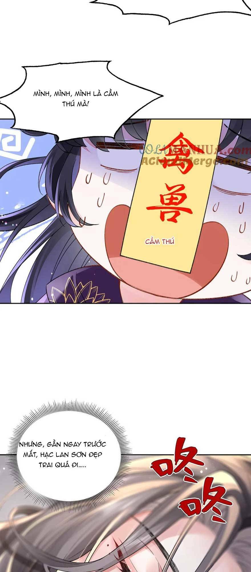 page_19.jpg