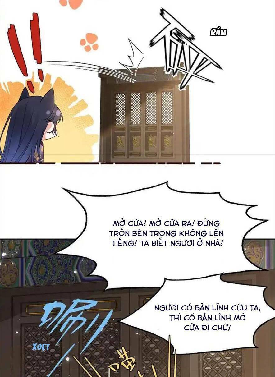 page_41.jpg
