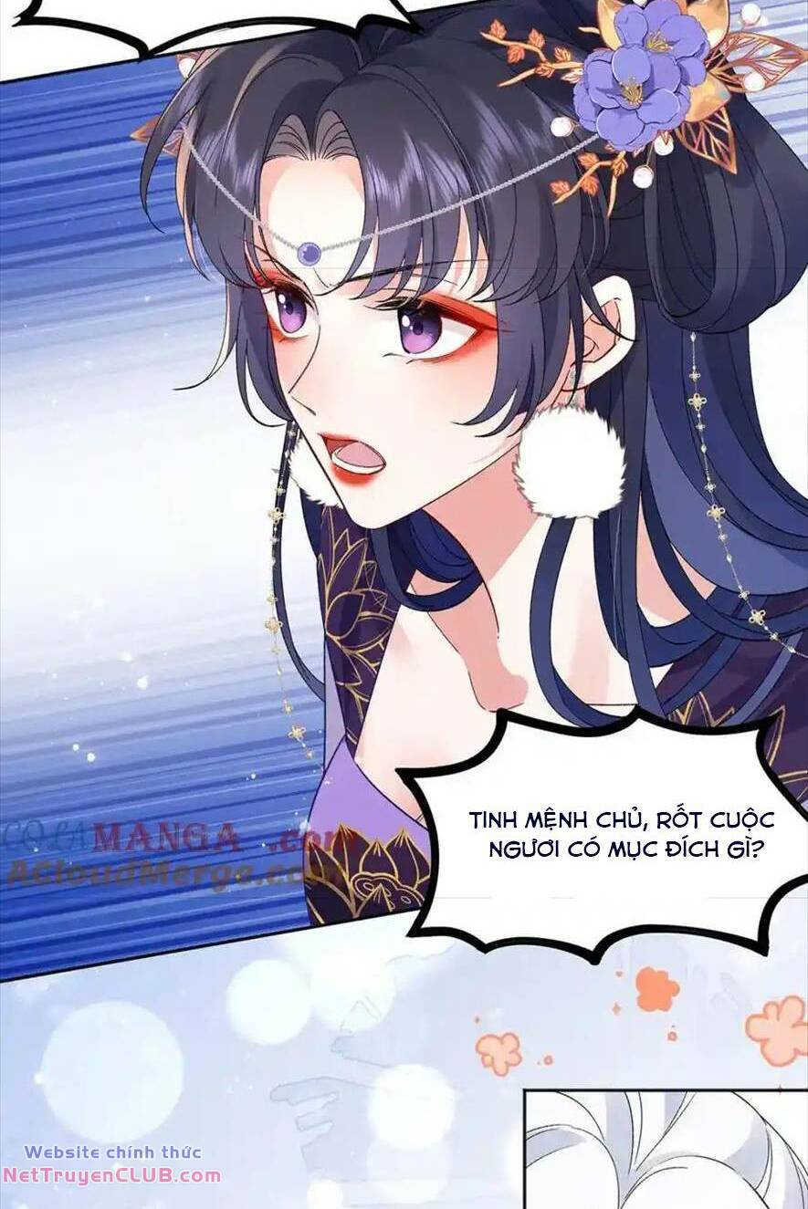 page_29.jpg