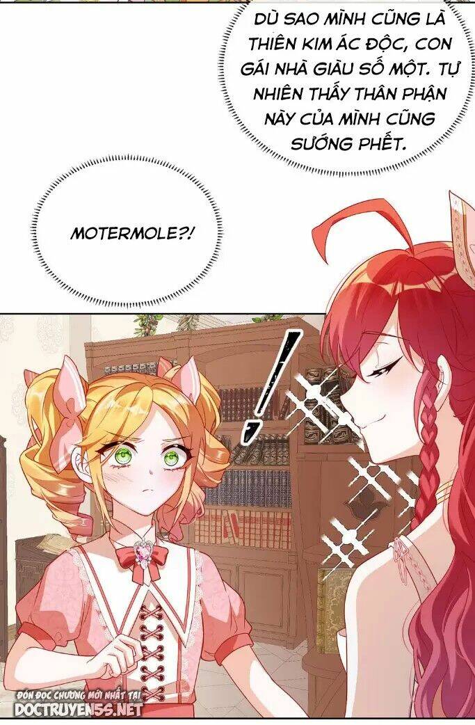 page_24.jpg