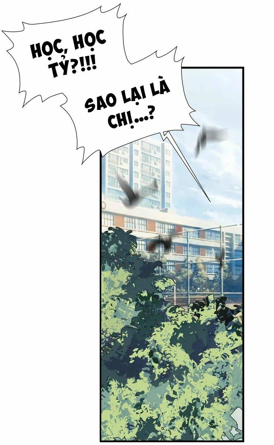 page_19.jpg