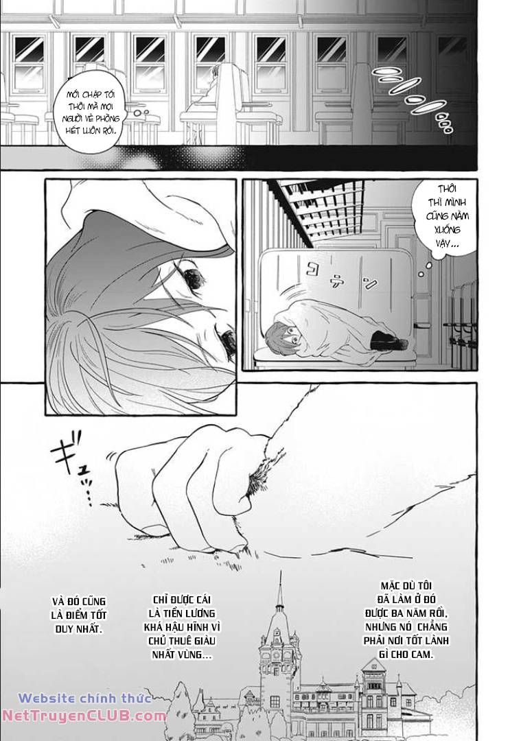 page_12.jpg