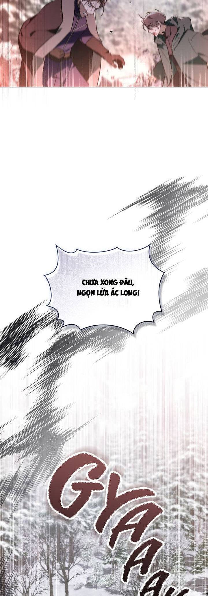 page_28.jpg