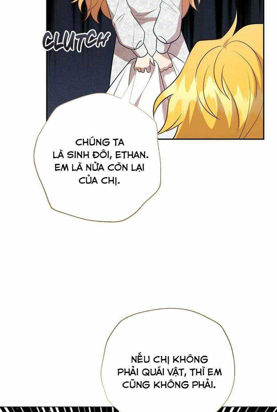 page_29.jpg