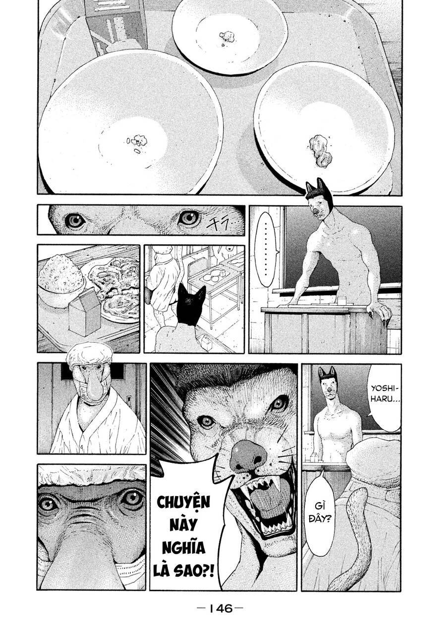 page_19.jpg
