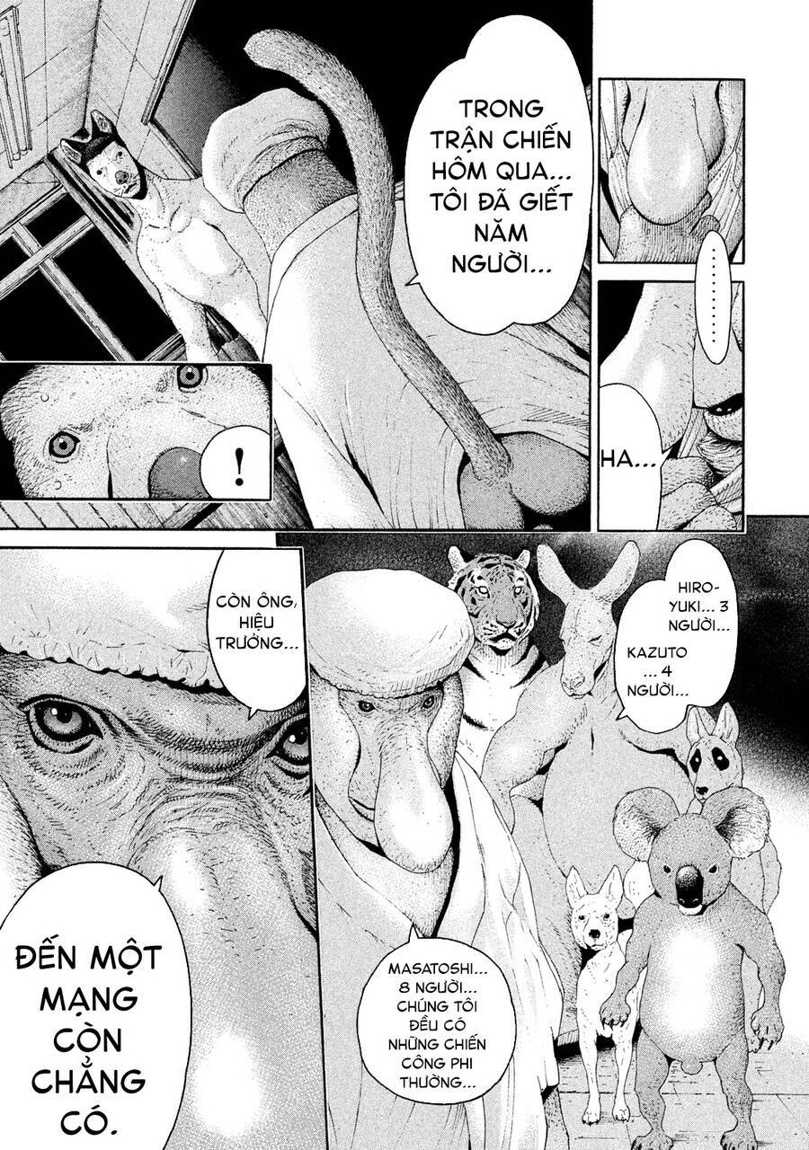 page_20.jpg